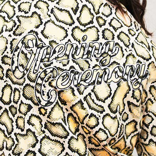 Image without a name 