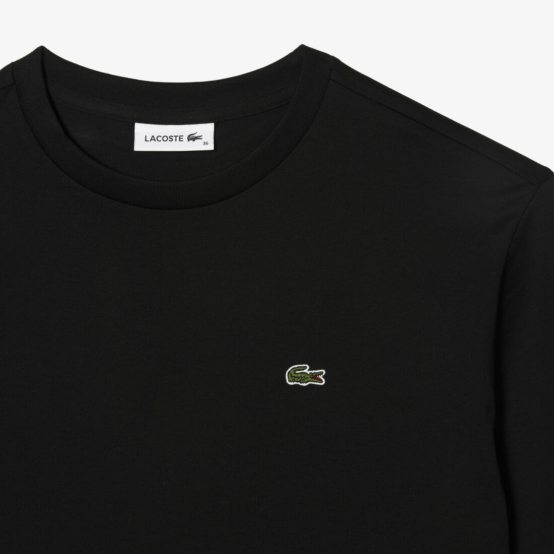 Women's Crew Neck Premium Cotton T-shirt Women's Crew Neck Premium Cotton T-shirt