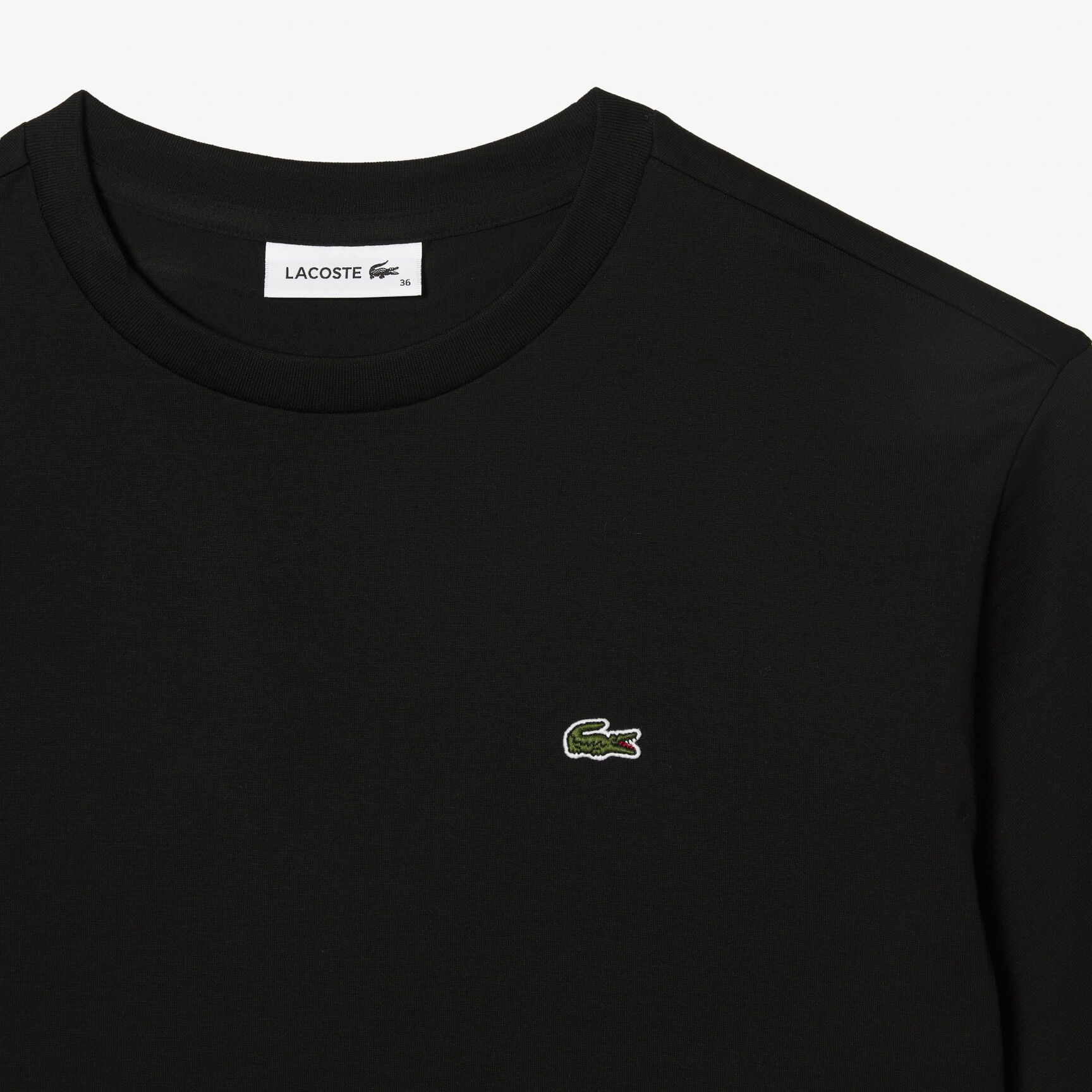 Women's Crew Neck Premium Cotton T-shirt Women's Crew Neck Premium Cotton T-shirt