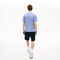 lacoste men s colourblock striped cotton piqu  crew neck t shirt