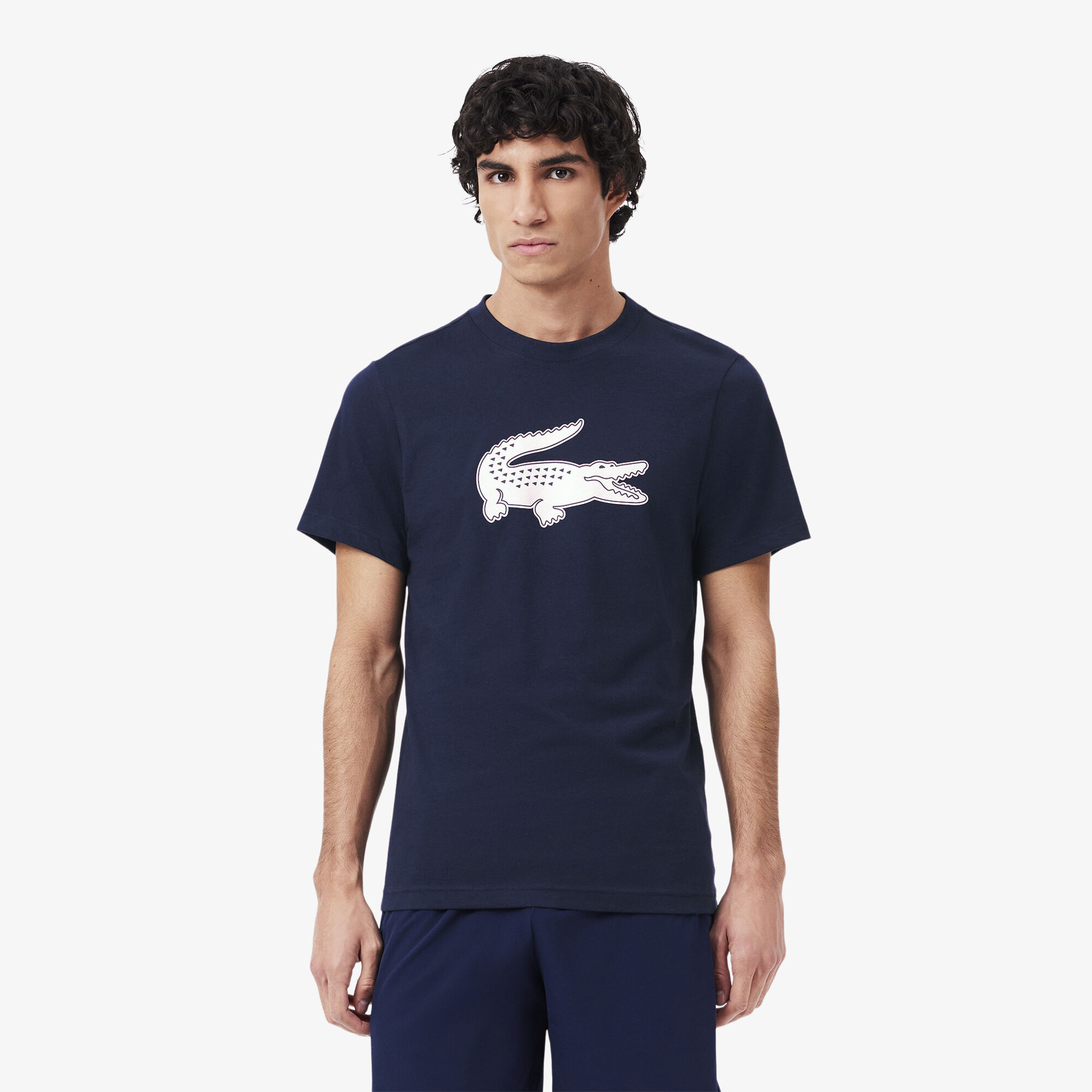 mens lacoste t shirt