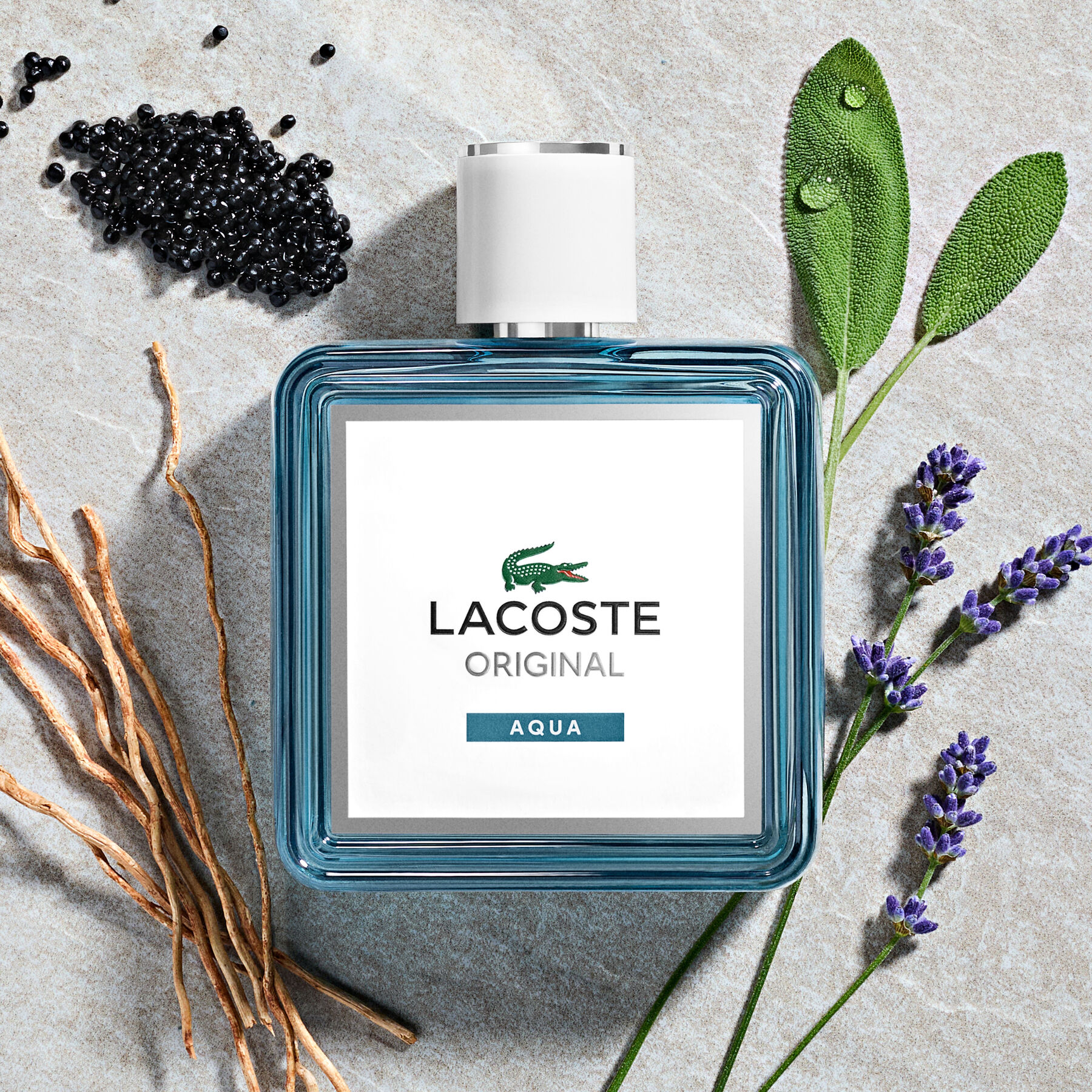 Men Aqua EDP 100ml lacoste men aqua edp 100ml