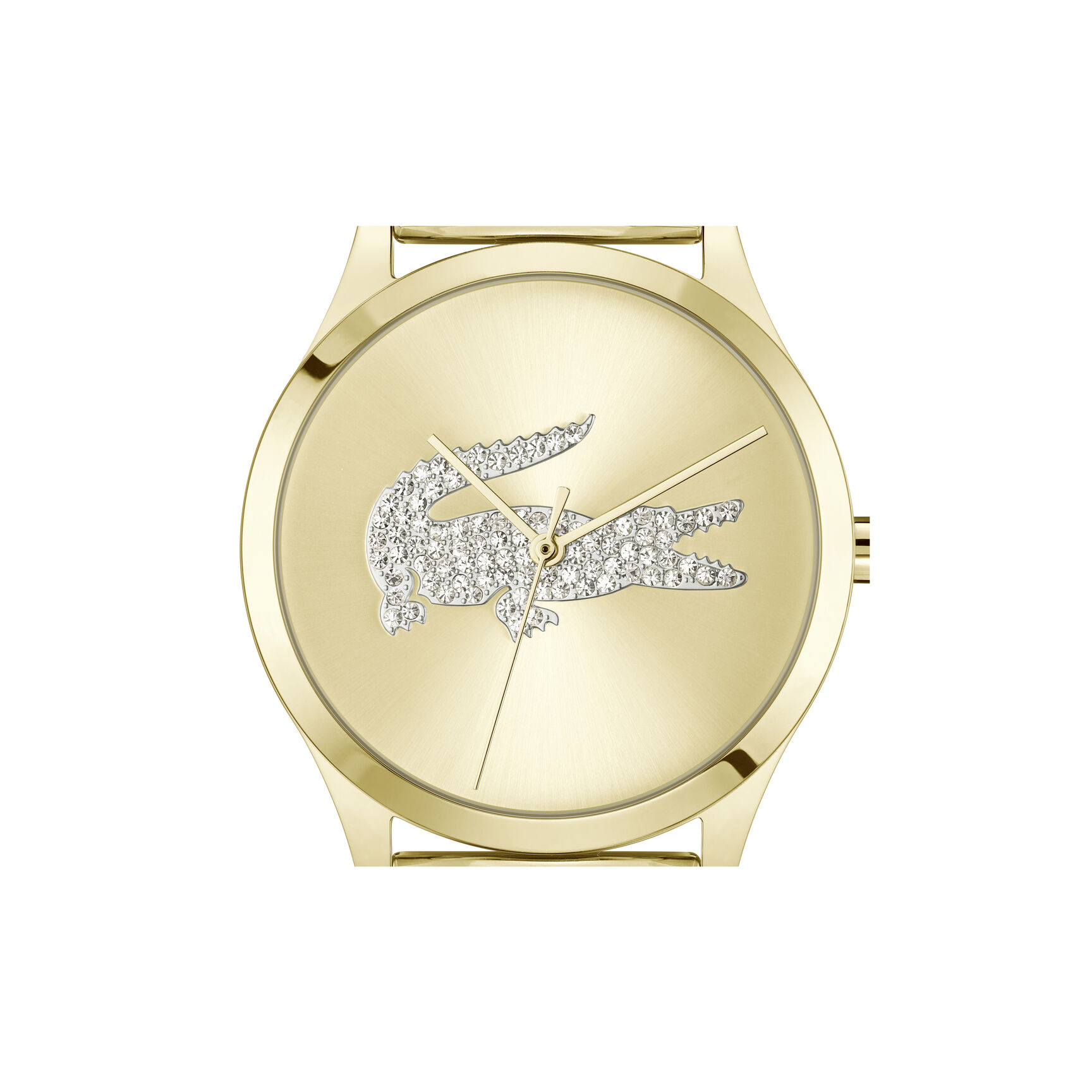 Crocodelle Watch Crocodelle Watch