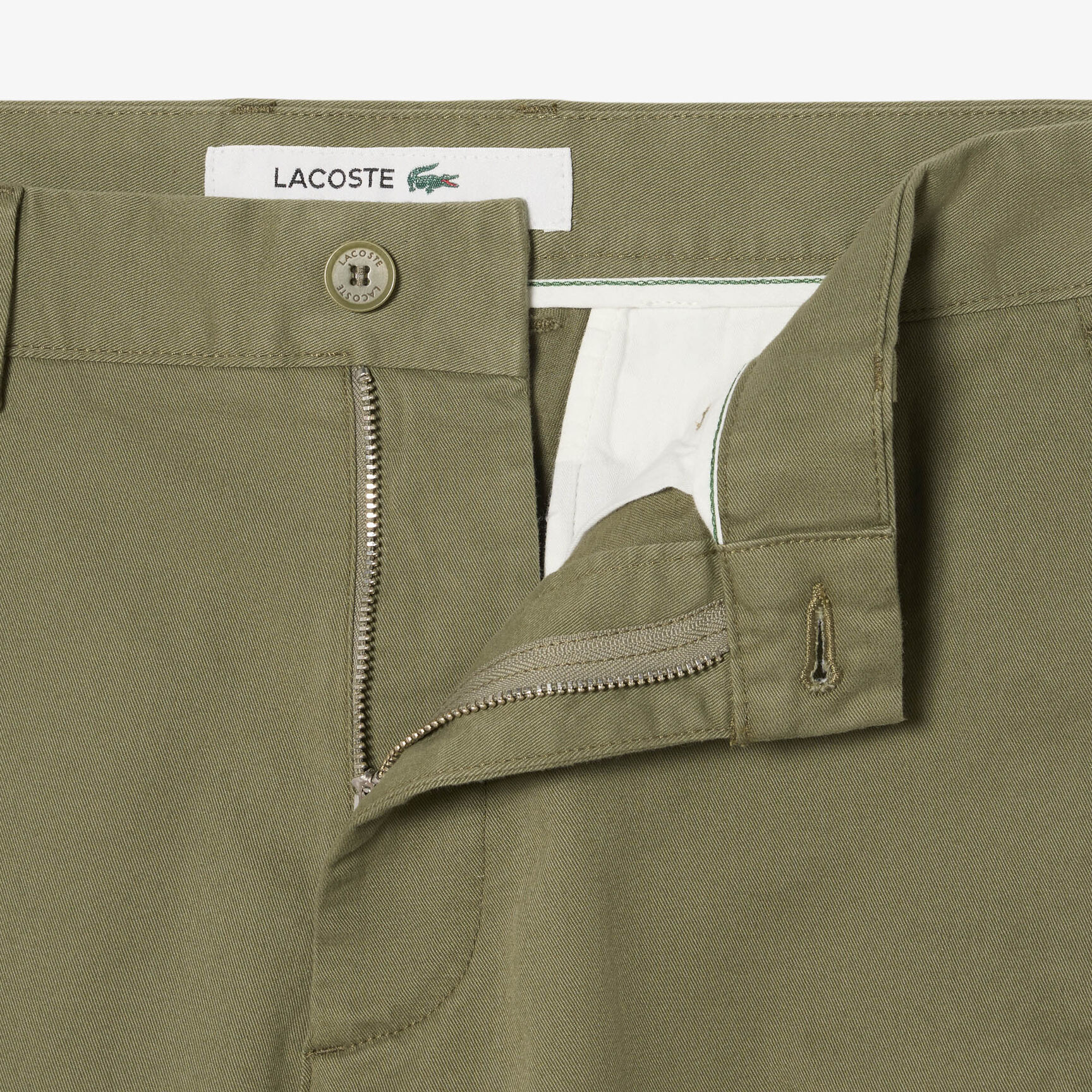 Regular Fit Cotton Chino Pants