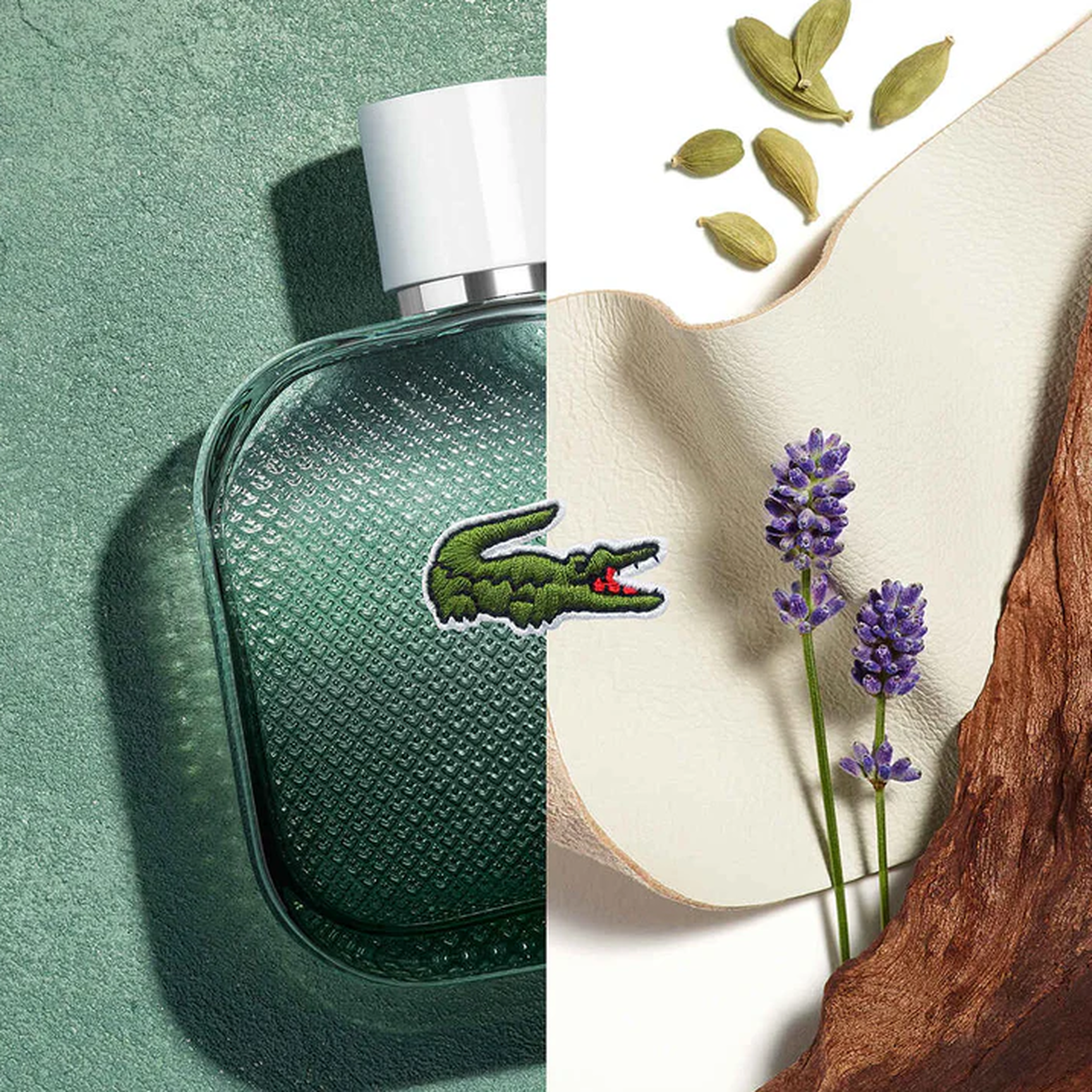 عطر L.12.12 بلانك او انتنس للرجال، او دي تواليت، 50 مل