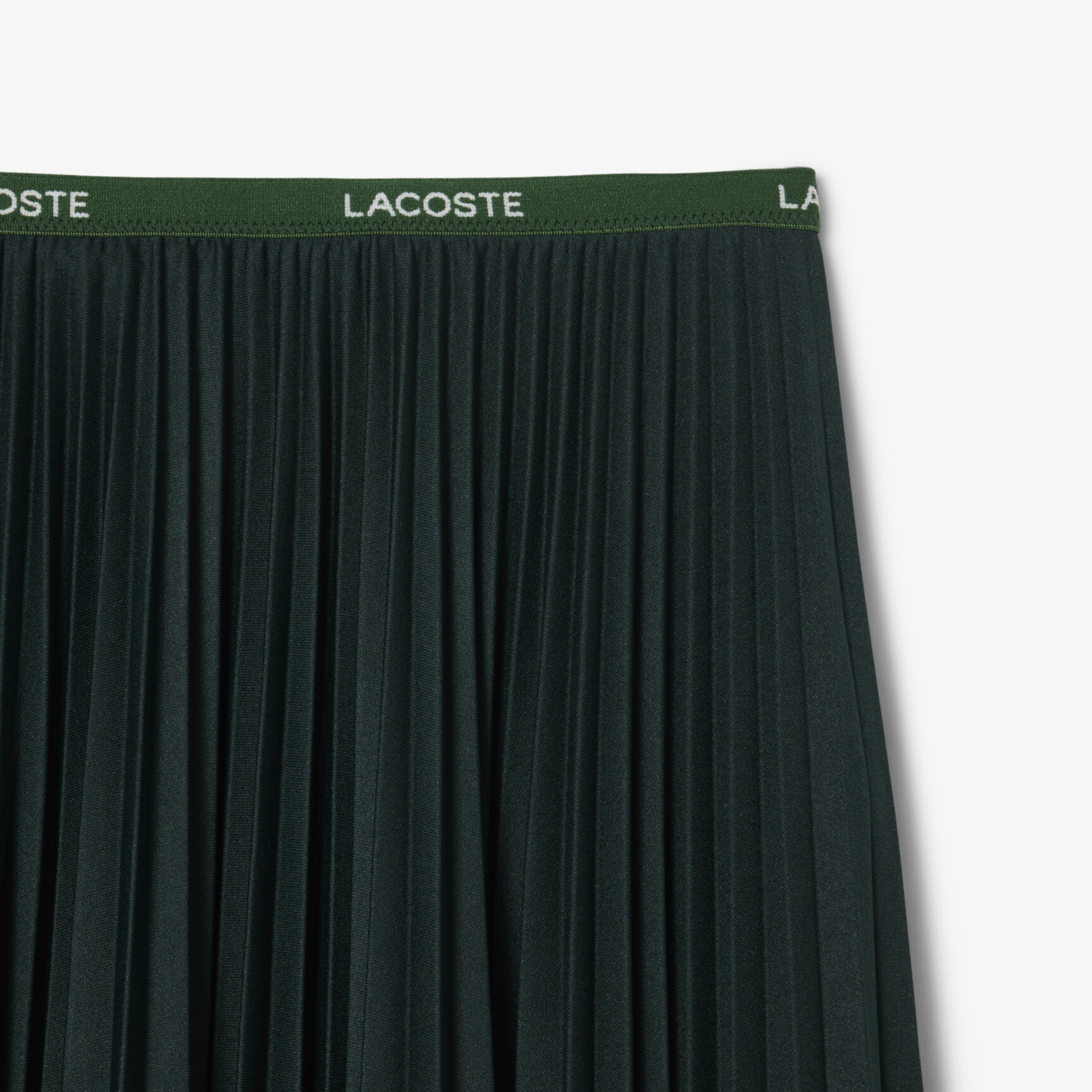 Long Pleated Elasticated Waist Skirt