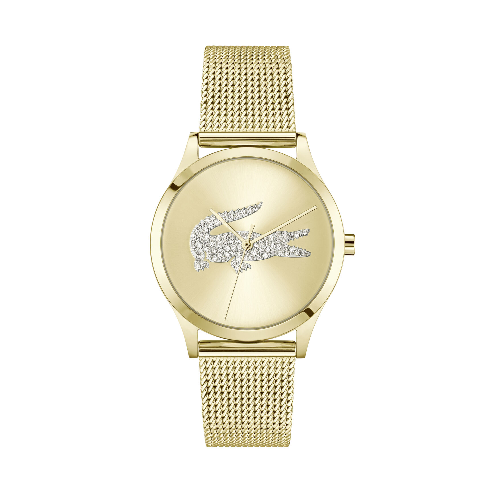 Crocodelle Watch Crocodelle Watch