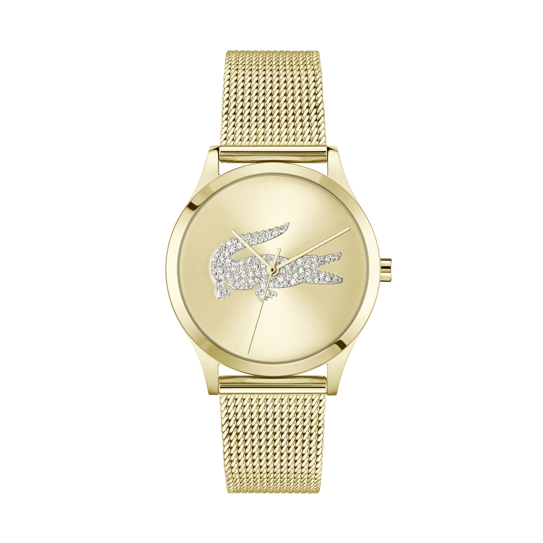 Crocodelle Watch Crocodelle Watch