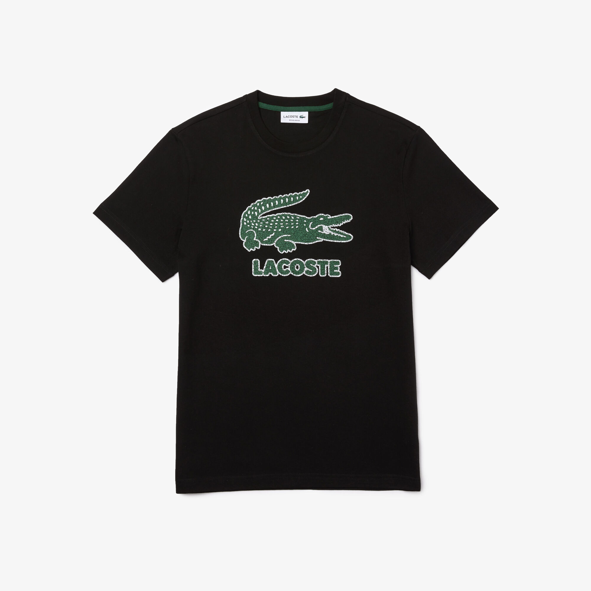 T-shirts \u0026 Polos 