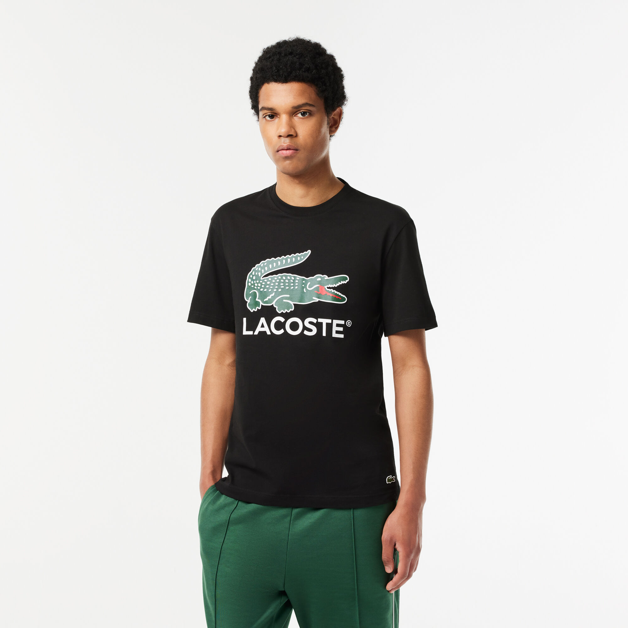 Dark green lacoste t shirt online