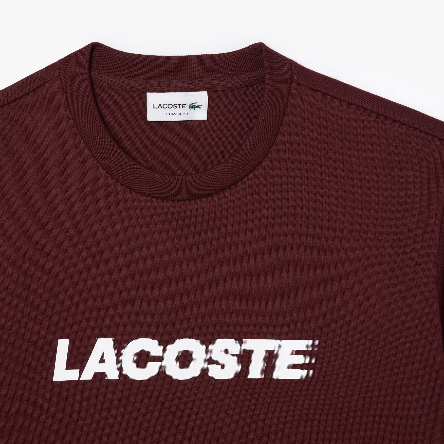 lacoste classic fit heavy cotton logo t shirt