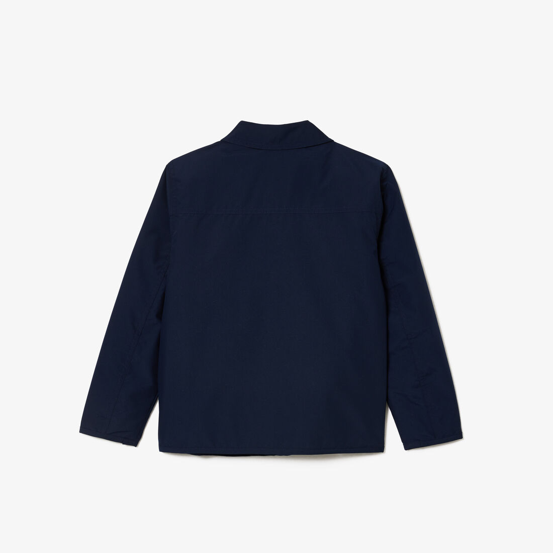 تي شيرت بولو قطن بطبعة غرافيك تي شيرت بولو قطن بطبعة غرافيك