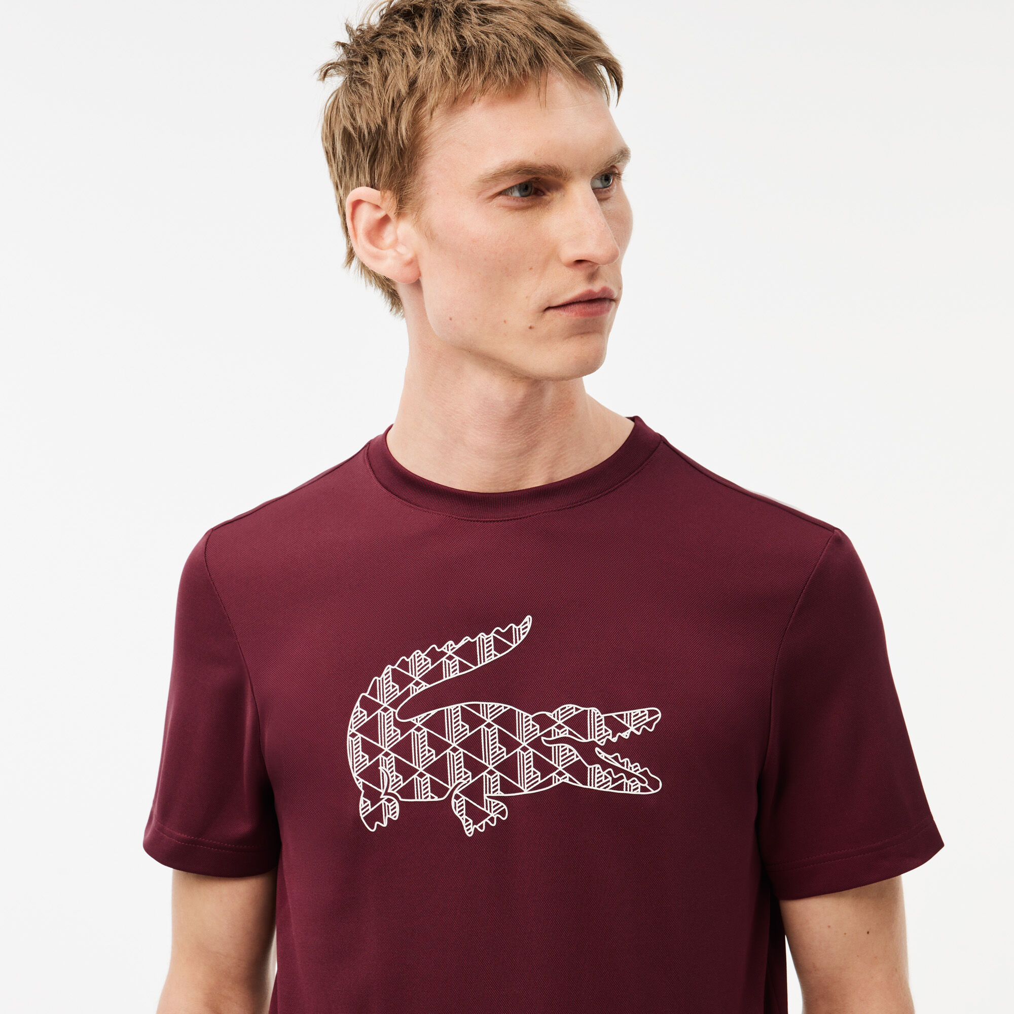 Lacoste t shirt big logo clearance