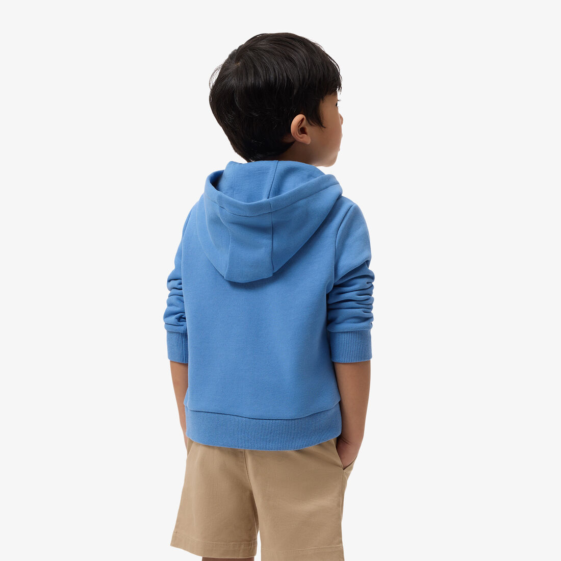 lacoste colorblock zipped hoodie
