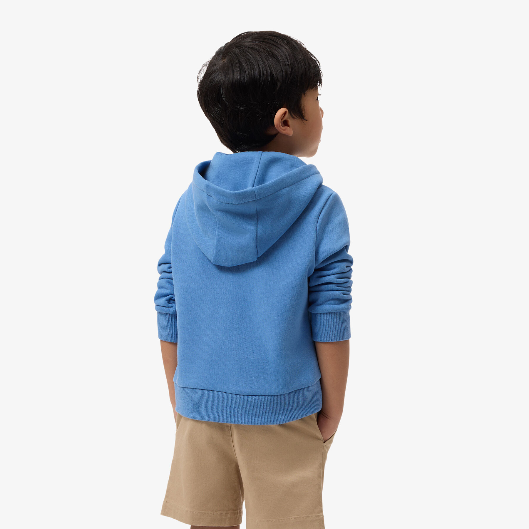lacoste colorblock zipped hoodie
