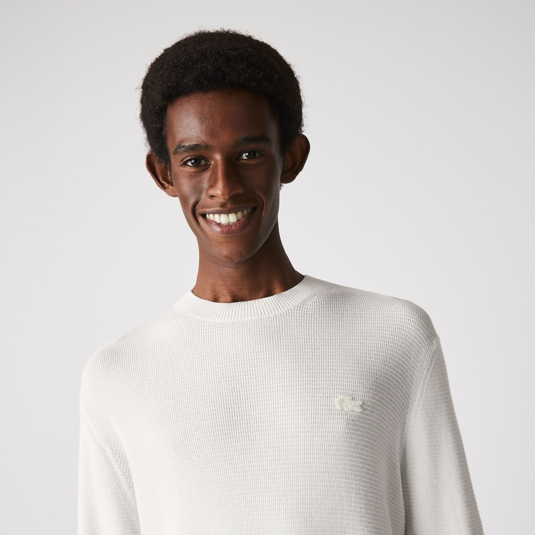 Men's Crew Neck Flecked Cotton Knit Sweater