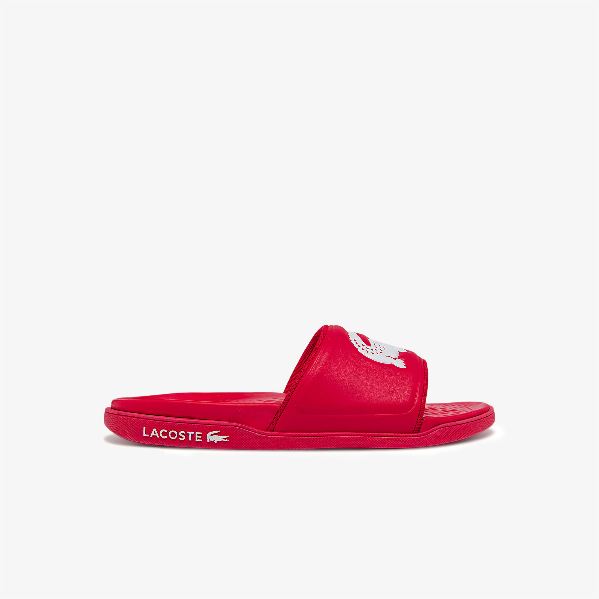 Lacoste slides men clearance