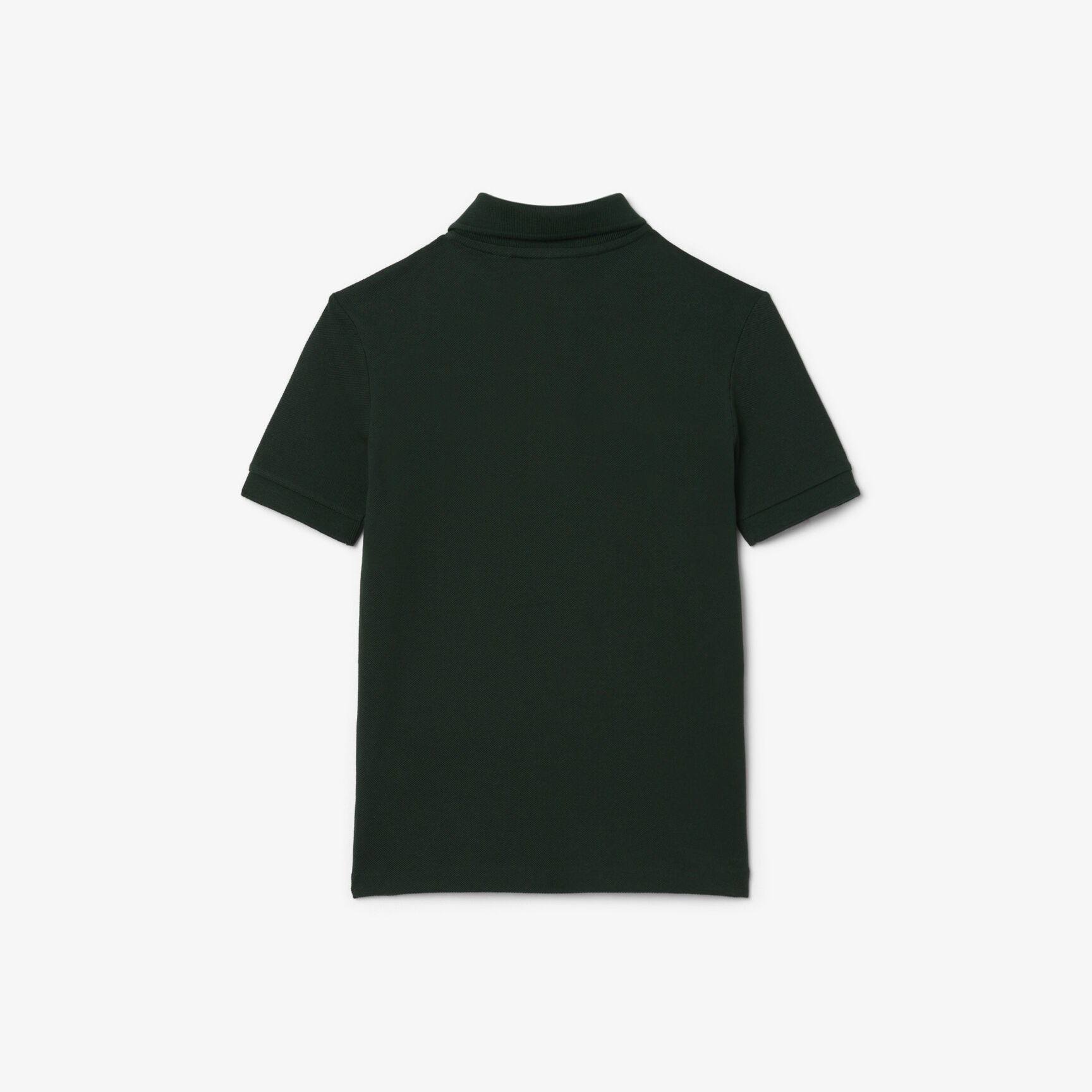 Contrast Band Petit Piqu e Polo Shirt