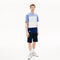 lacoste men s colourblock striped cotton piqu  crew neck t shirt