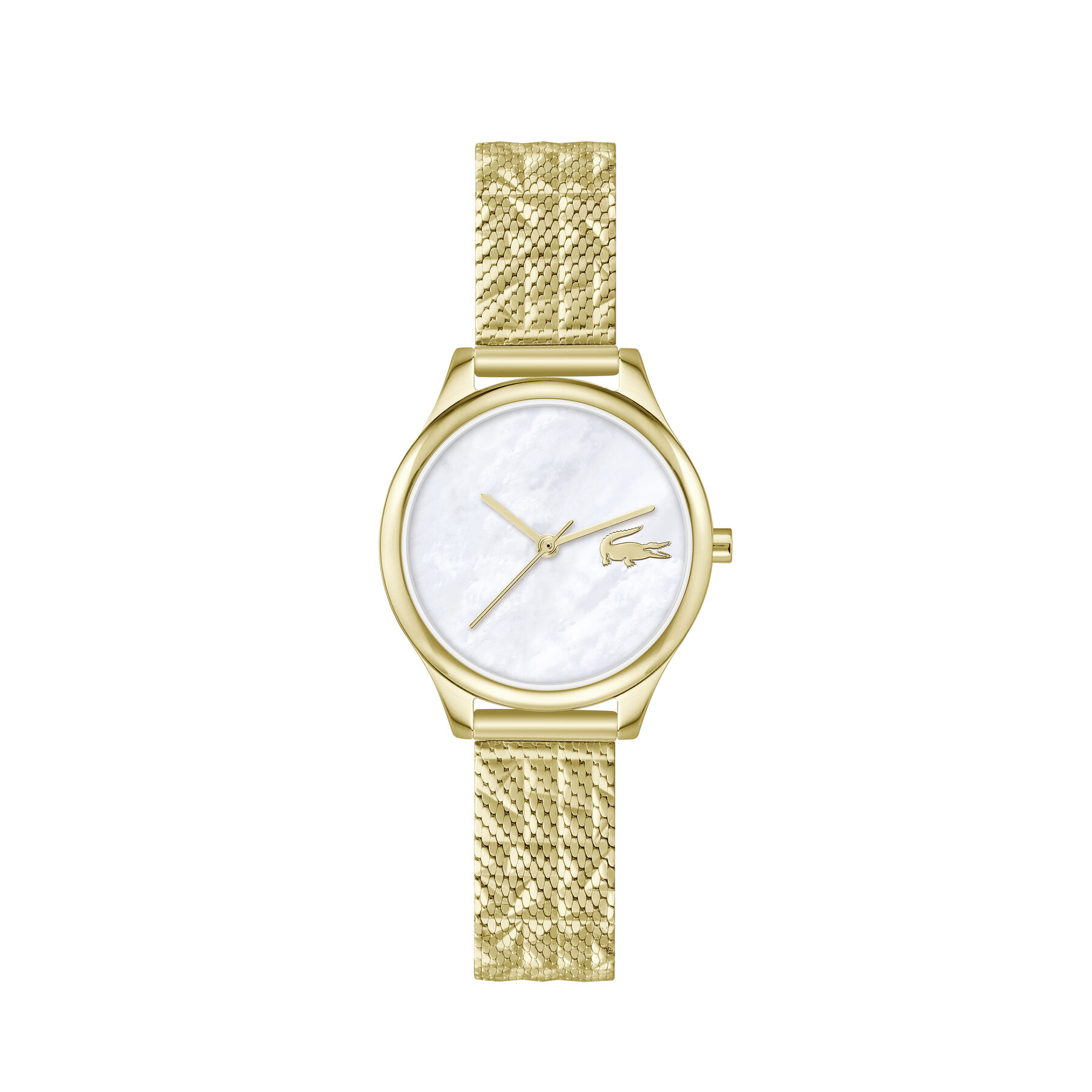 Thin Gold-Plated Steel Women's Watch lacoste thin gold plated steel women s watch