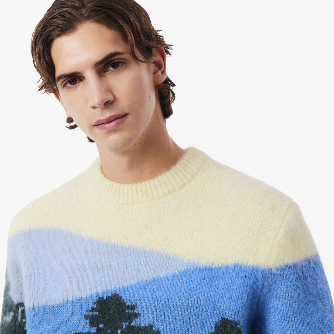 Landscape Jacquard Alpaca Wool Sweater Landscape Jacquard Alpaca Wool Sweater