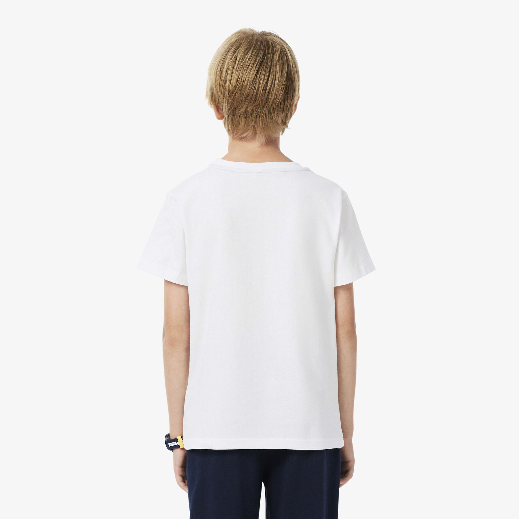 lacoste unisex cotton crew neck t shirt