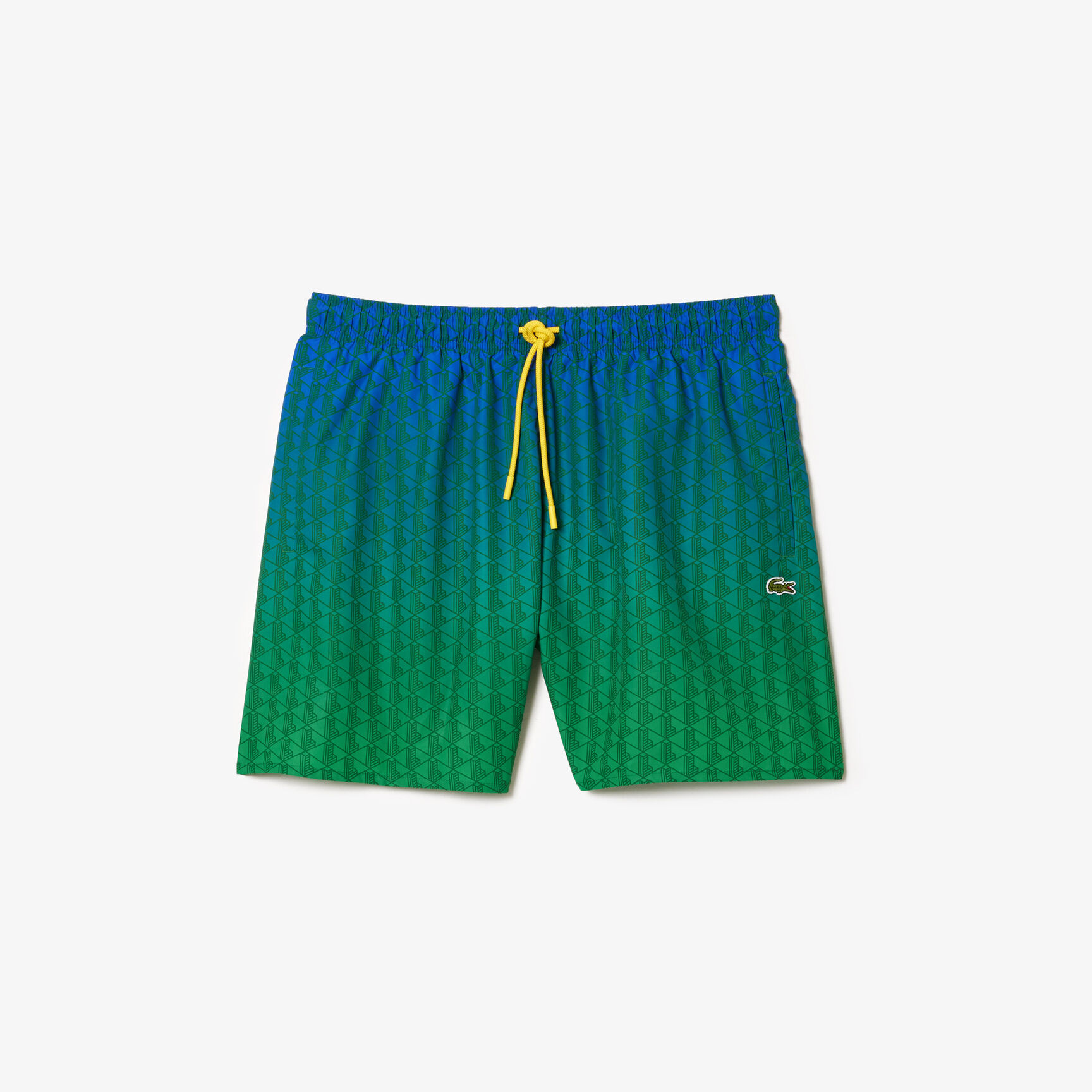 Ombr&eacute; Effect Monogram Swim Trunks