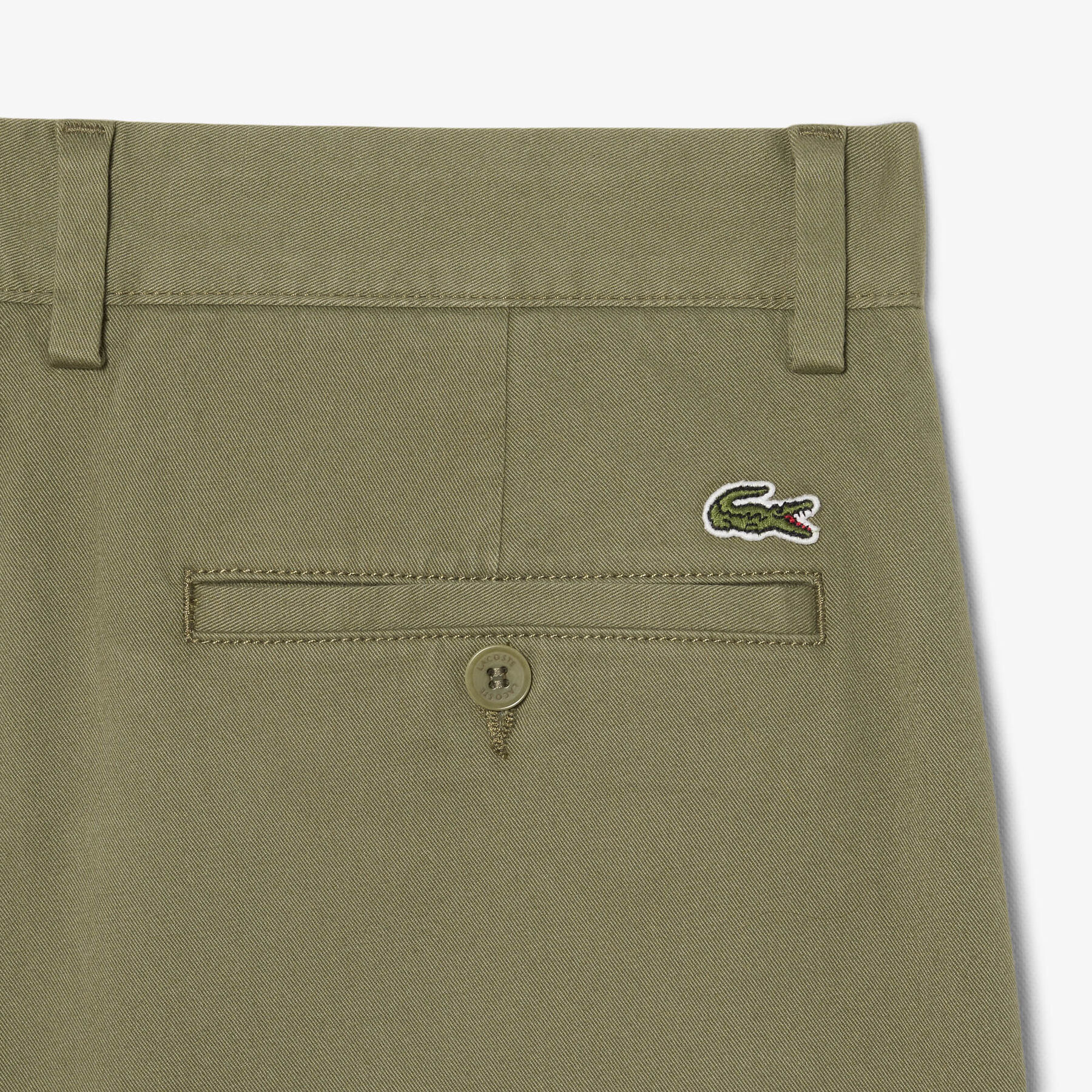 Regular Fit Cotton Chino Pants