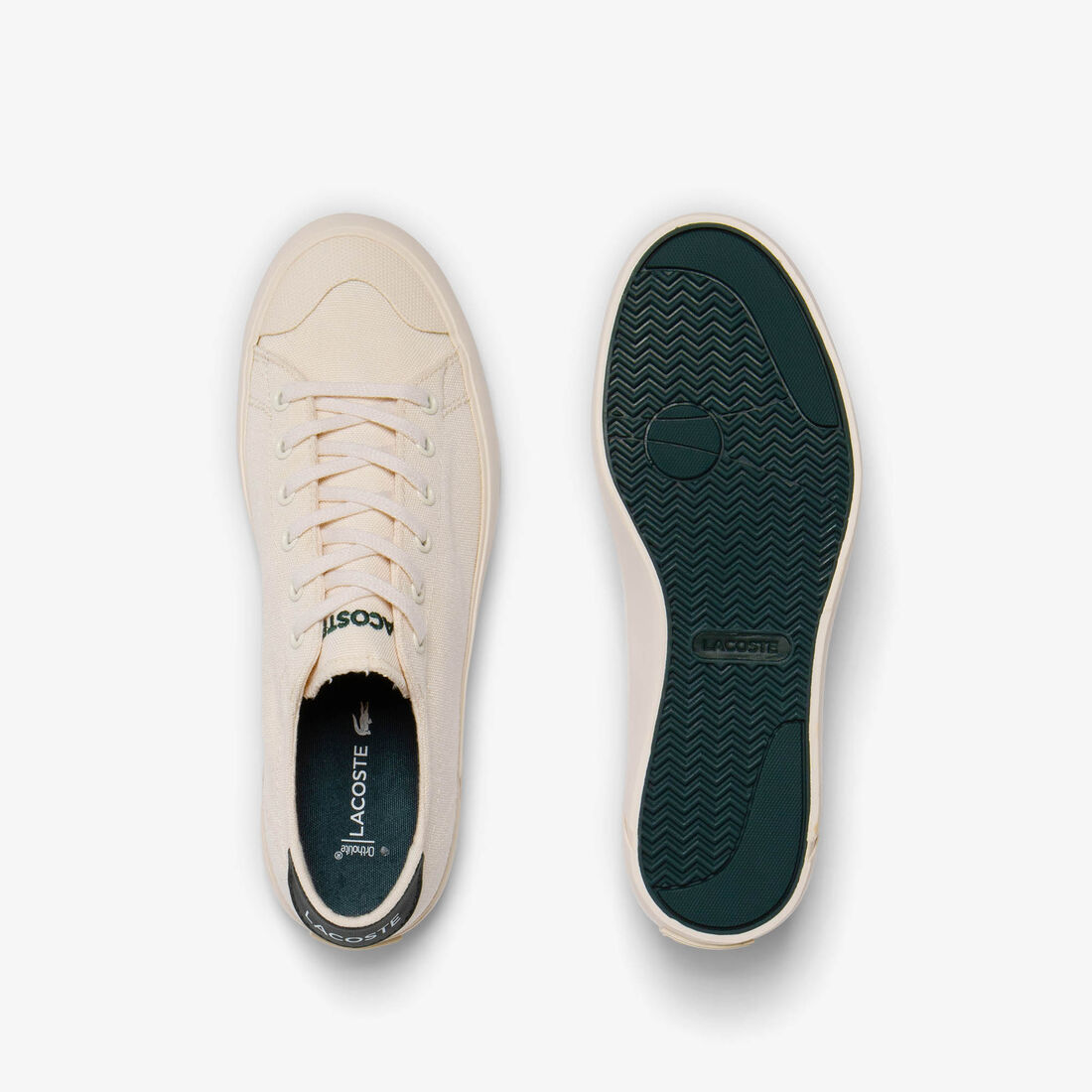 سنيكرز لاكوست جريب شوت قماش للرجال سنيكرز لاكوست جريب شوت قماش للرجال