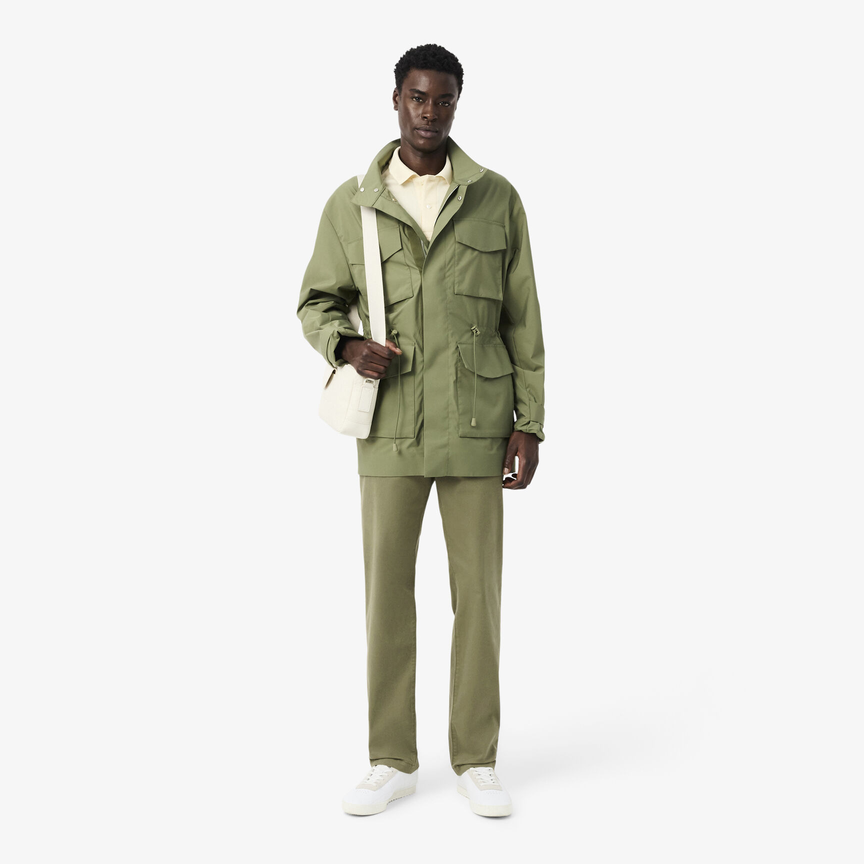 Regular Fit Cotton Chino Pants