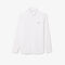 Regular Fit Cotton Shirt Regular Fit Cotton Shirt