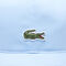 lacoste cotton twill cap