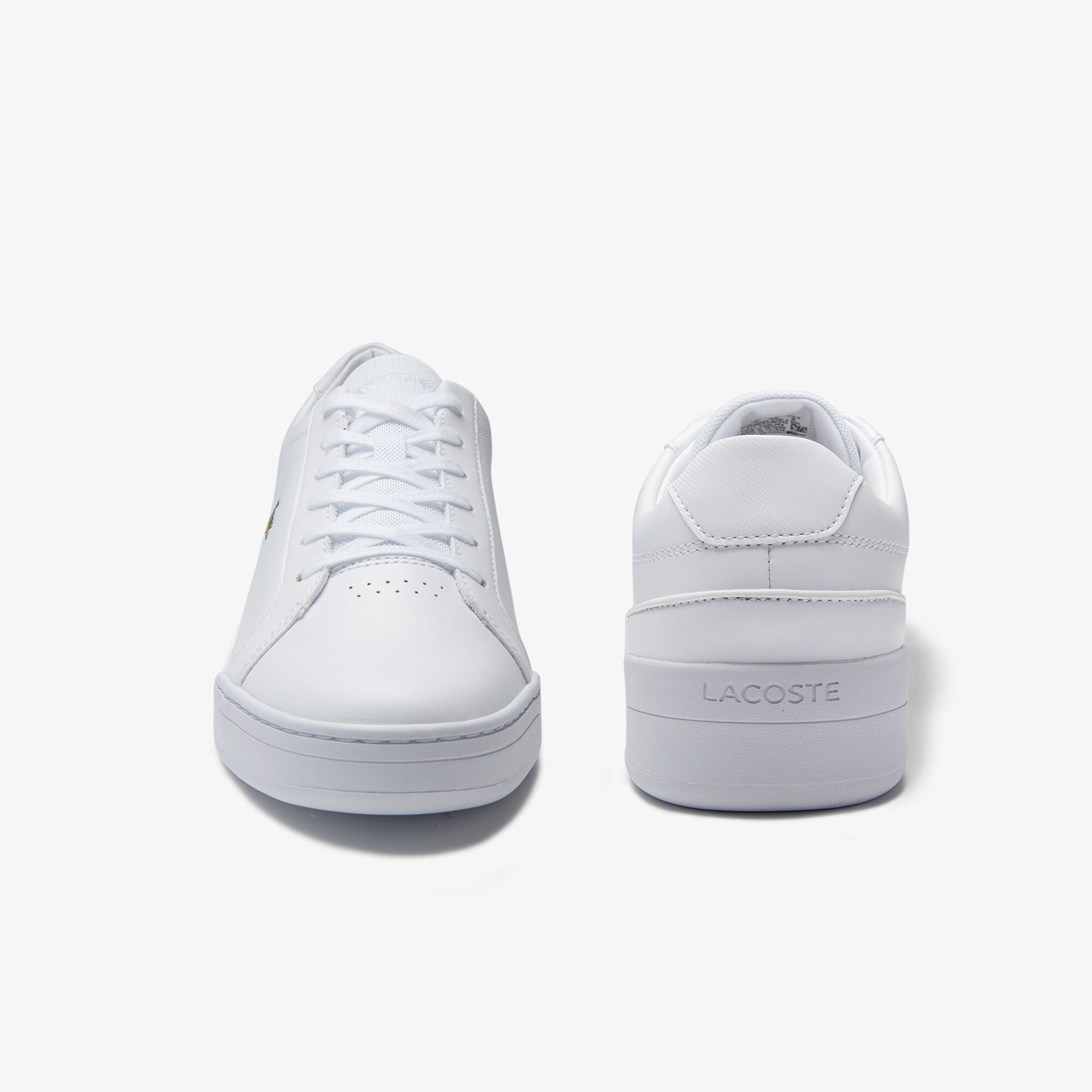 Lacoste challenge trainers top