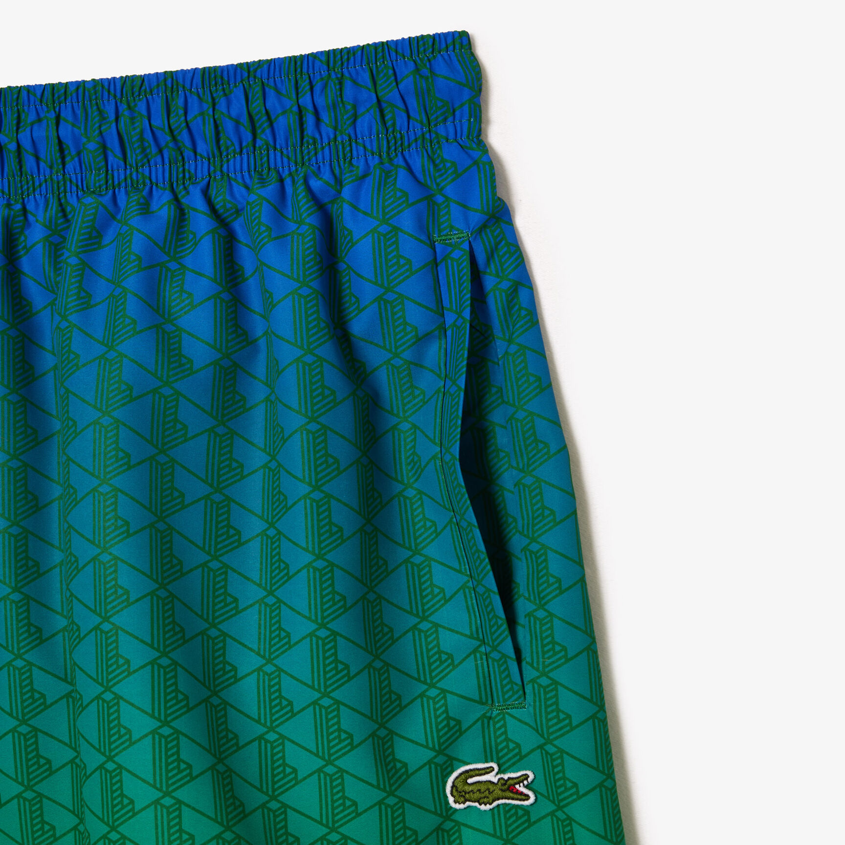 Ombr&eacute; Effect Monogram Swim Trunks