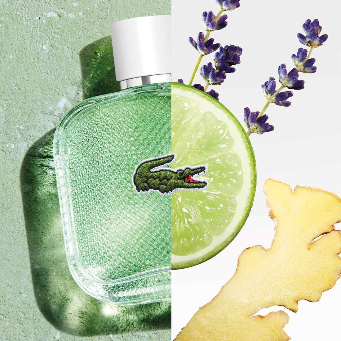 عطر L1212 بلانك أو فريش 100 مل عطر L1212 بلانك أو فريش 100 مل