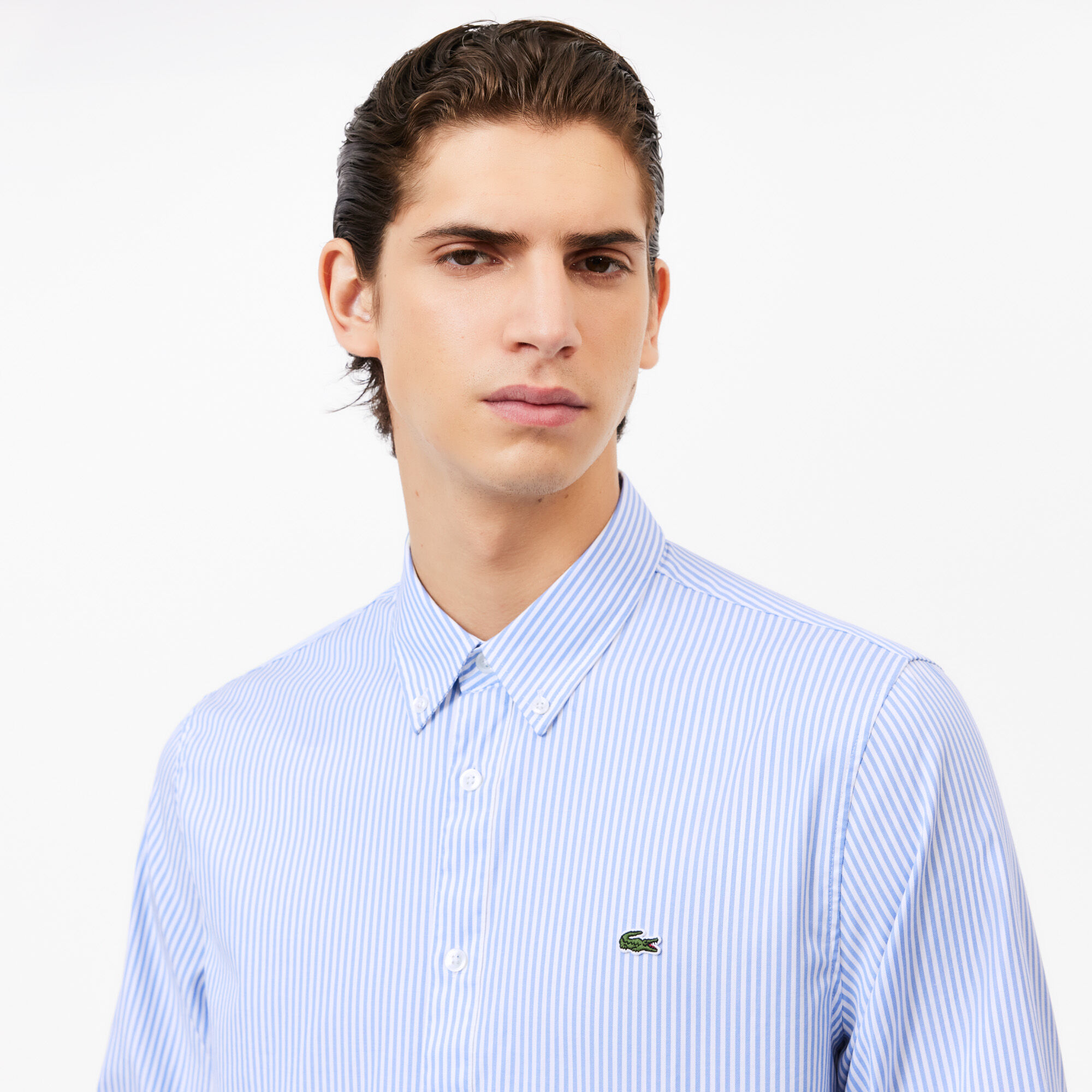 Lacoste mens shirts sale outlet