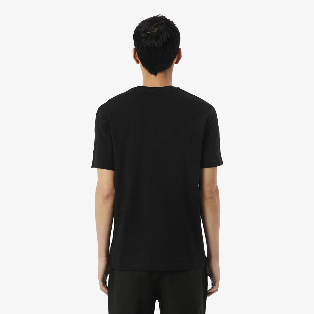 Branded Stripe Band T-shirt lacoste branded stripe band t shirt