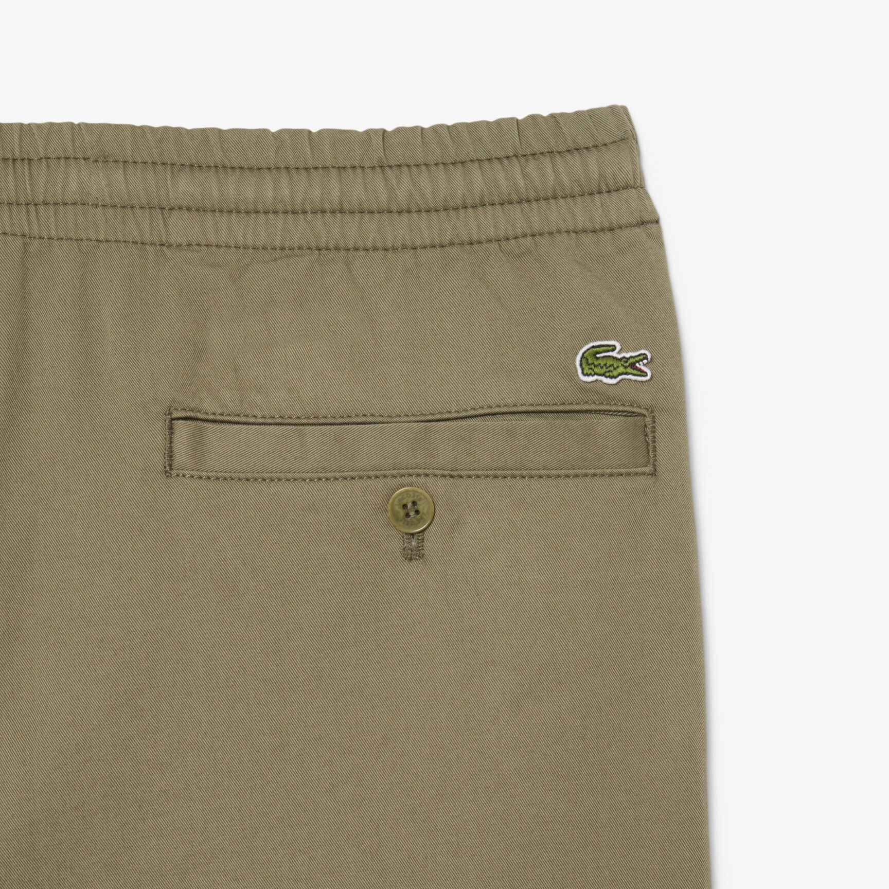 Regular Fit Cotton Gabardine Chino Pants