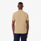 lacoste classic fit l 12 12 original polo shirt